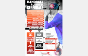 Handball & Commotion Cérébrale