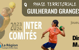 Intercomités Beach Handball 2023/2024