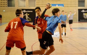 58ff3e294ddff_Comits2017Villeurbanne16042017003.jpg