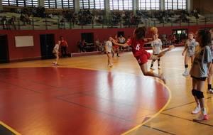 5dce7aef8b91b_IMG6737.JPG